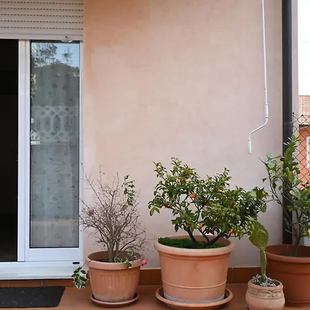 S348 - Sirolo, Delizioso Trilocale Con Corte Esterna Сироло